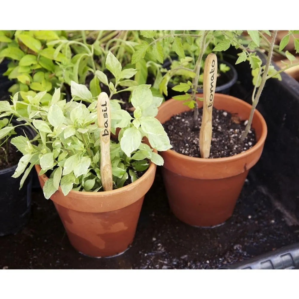 Bamboo Toothbrush with Plant-Based Bristles - Adult (Soft Bristles)