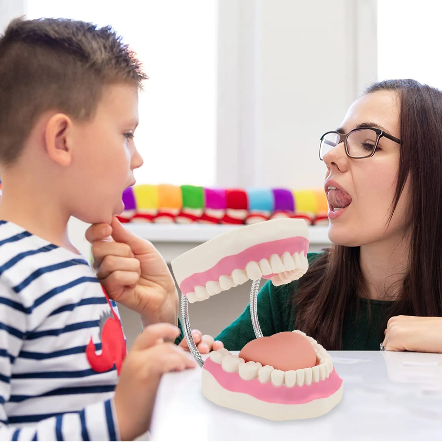 Giant Teeth Dental Demonstration Model 6x Enlarged With Toothbrush Teaching Aid