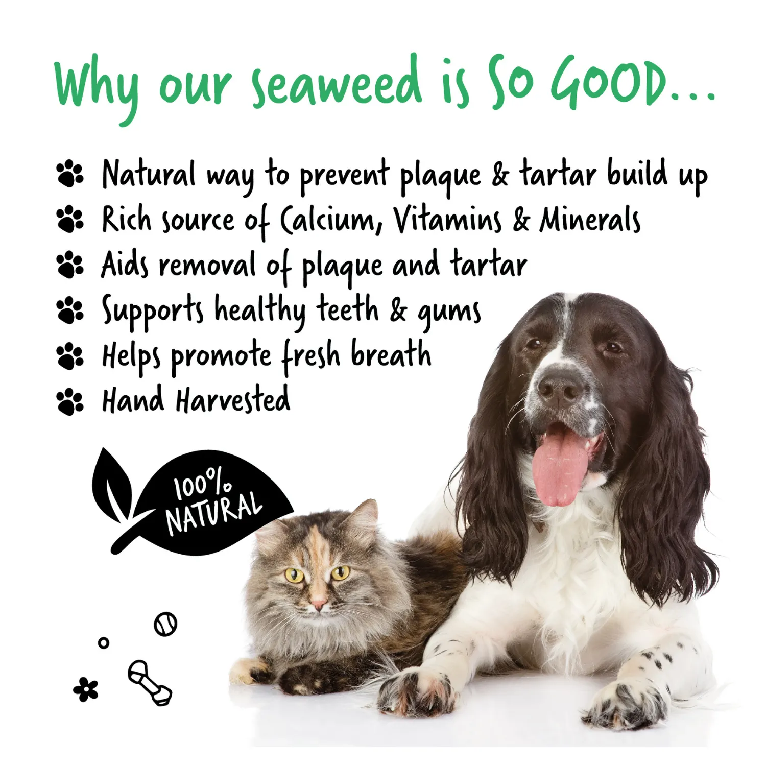 Hand-harvested Irish Seaweed Plaque Remover for Dogs & Cats (70g)