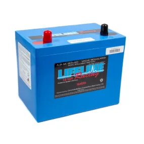 Lifeline Race AGM Battery - 16V - 750 Cranking amps - Top Post Screw-In Terminals - 10.20 in L x 8.30 in H x 6.60 in W LL-1640TB