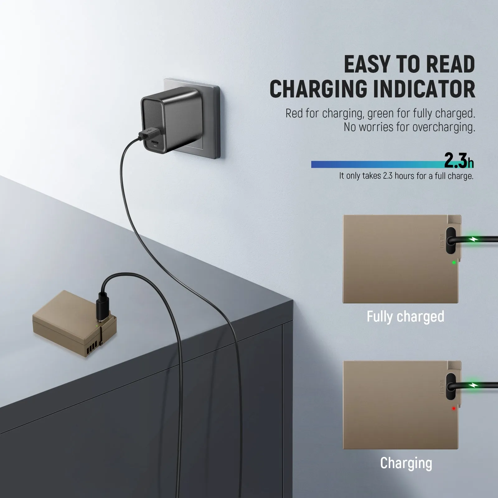 NEEWER DMW-BLC12 1100mAh Replacement Battery