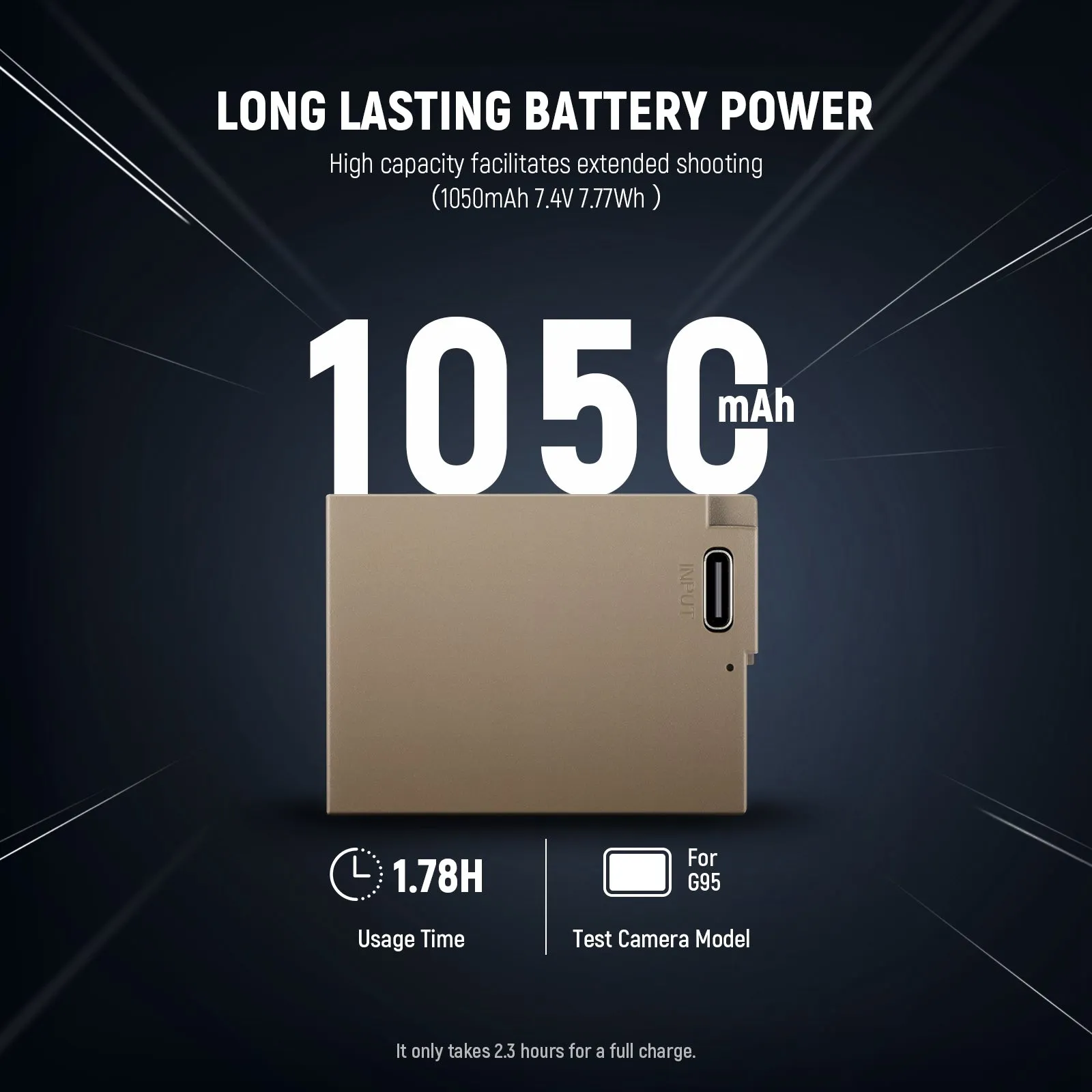 NEEWER DMW-BLC12 1100mAh Replacement Battery