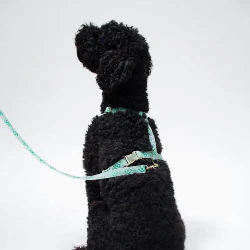 Out of My Box Harness: Teal and Cream