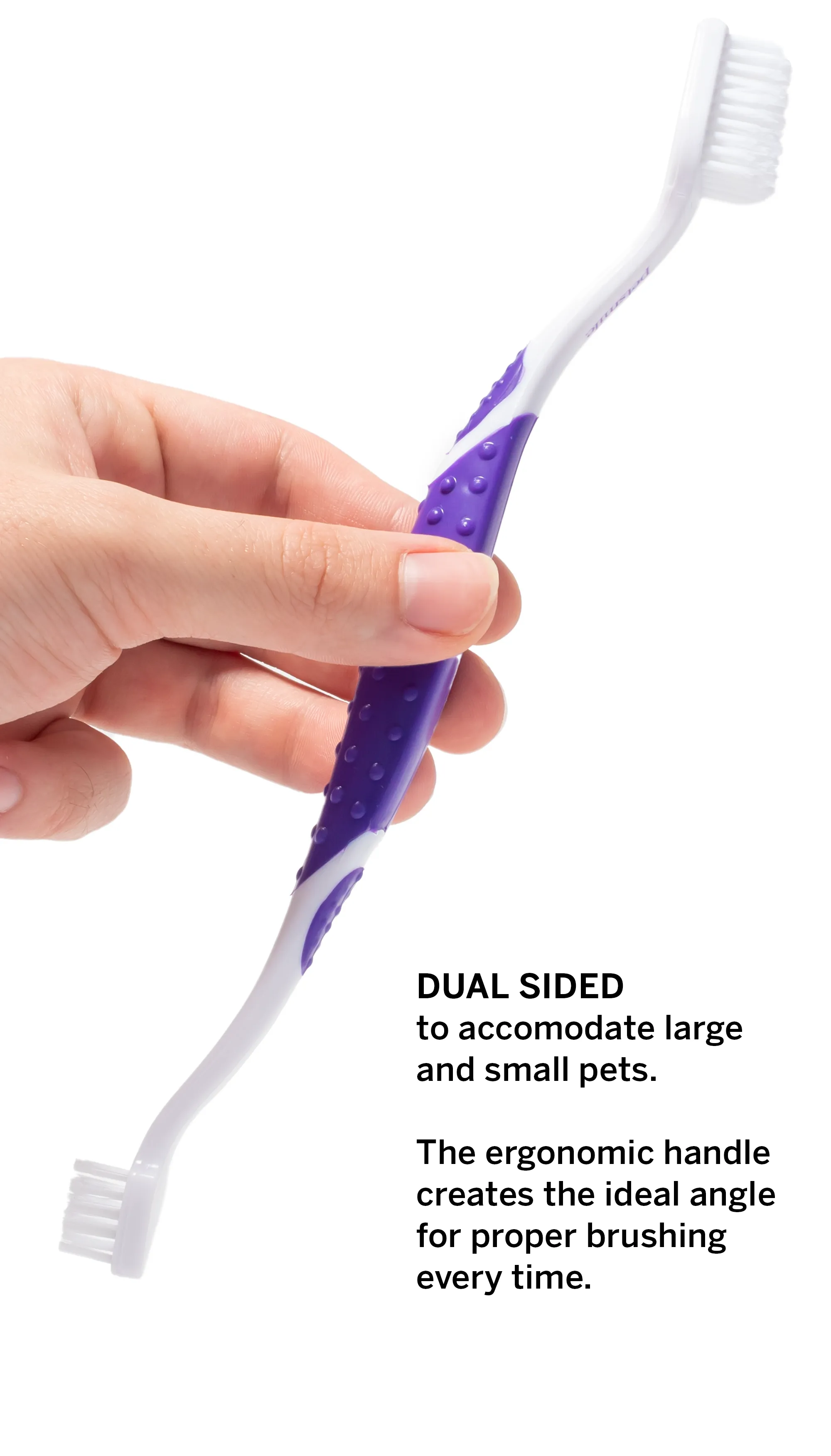 Professional Toothpaste Rotisserie Chicken Small & Professional Pet Toothbrush