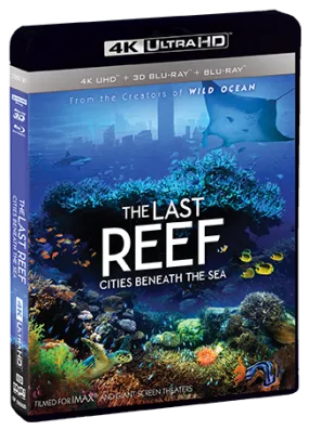 The Last Reef: Cities Beneath The Sea